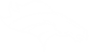 Denverbroncos Primary Logo (1)