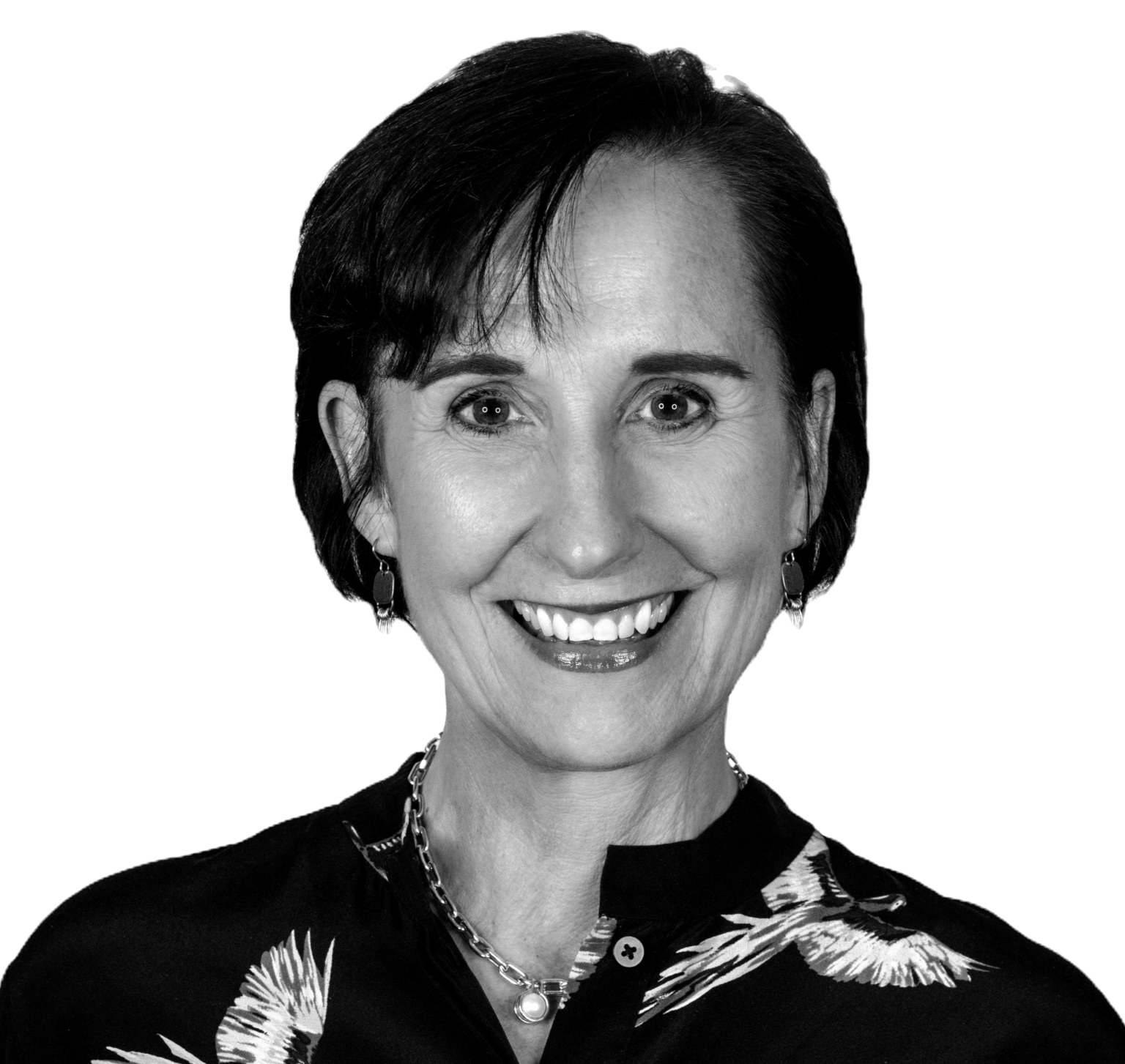 2024 St Louis Titan 100 Titan 100